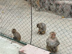 -新疆天山野生动物园