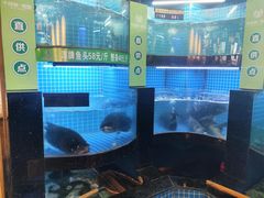 -千岛湖小鱼儿·淳安匠心农家菜