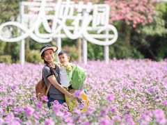 -广东花都香草世界旅游度假区