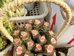 -循礼门鲜花花市(武汉循礼门店)