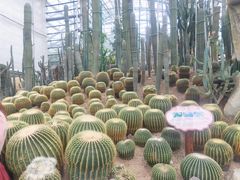 -南山植物园