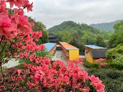 -杭州上天竺法喜讲寺