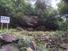 景点-紫云谷景区