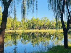 -东郊湿地公园