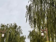 -张掖市博物馆