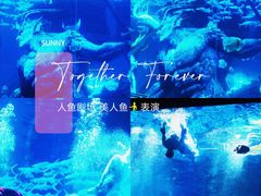 -哈尔滨波塞冬海底世界