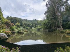 -深圳仙湖植物园