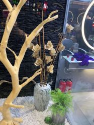 -木北造型