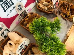 -菌彩云南野生菌火锅(新亚洲店)