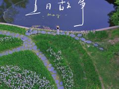 -上海共青森林公园