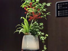 -广州酒家(中华广场店)
