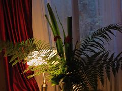 -重庆雨台山风景区