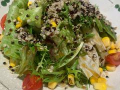 田园蔬菜沙拉-千寻山野烤肉(中关村店)