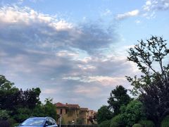 -上海崇明金茂凯悦酒店