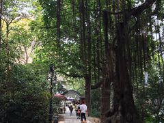 -小洲村