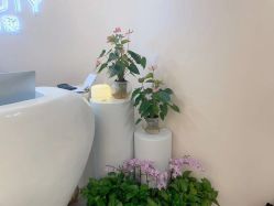 -S&G Beauty轻奢皮肤管理中心