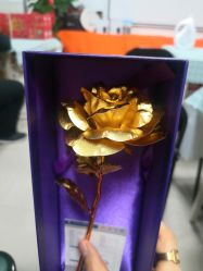 -皇家月府月子中心(沈阳店)