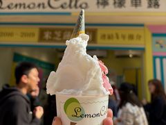 柠檬口味-柠檬车露(卖草地店)