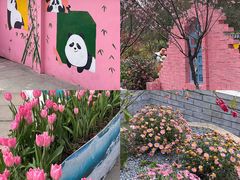 -南山植物园