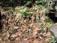 -藏龙百瀑风景区