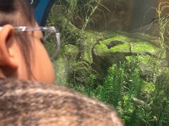 -阿哈湖国家湿地公园
