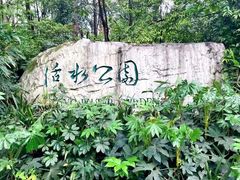 -曾牛肉