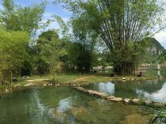 -靖西鹅泉风景区