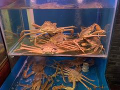 -吉友粥底火锅(方斜路店)