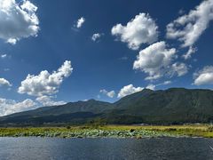 -腾冲北海湿地