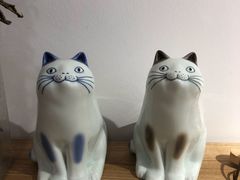 -猫里有甜