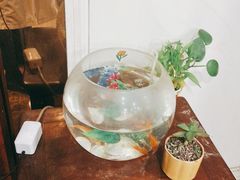 -裕和堂中医推拿艾灸(太古汇臻品店)