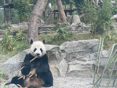 -武汉动物园