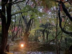 -常寂光寺