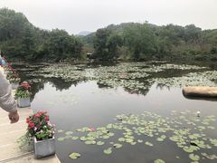 -白马涧龙池景区