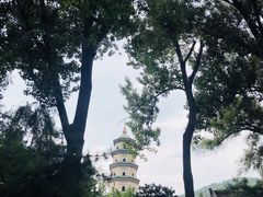 -晋祠公园