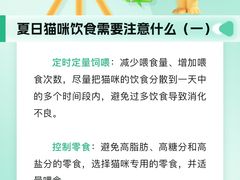-瑞派申生动物医院·24H夜诊·国际动物医疗中心·骨外科(吴中路店)
