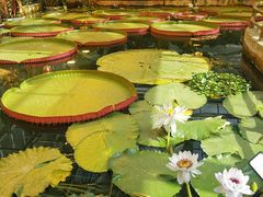 -国家植物园南园