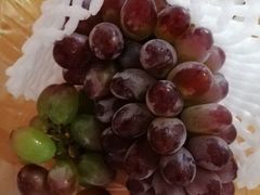 茉莉香葡萄-朝阳菜场(白塔西路店)