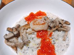 意大利饭拼烤刺身带子-森Some Fusion(荔湾店)