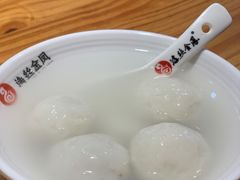 -海丝金凤(金鱼店)