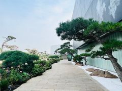 -罗红摄影艺术馆