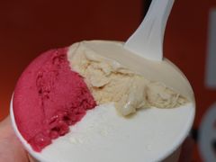 -Dip in Gelato(富民路店)