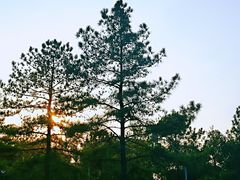 -同济大学(嘉定校区)