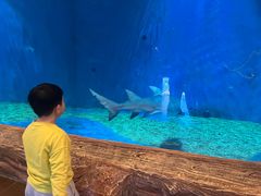 -华夏文旅海洋公园