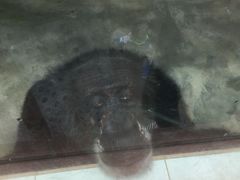 -广东茂名森林公园