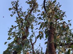 -汉长安城未央宫国家考古遗址公园