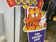 -一只酸奶牛(春熙路店)