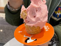 -野人先生现做冰淇淋(北京环宇荟店)