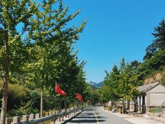 -海阳地雷战旅游区
