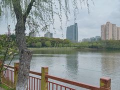 -黄兴公园
